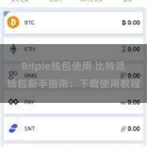 Bitpie钱包使用 比特派钱包新手指南：下载使用教程