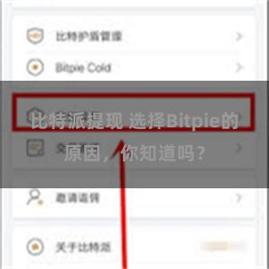 比特派提现 选择Bitpie的原因，你知道吗？