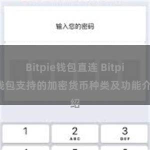 Bitpie钱包直连 Bitpie钱包支持的加密货币种类及功能介绍