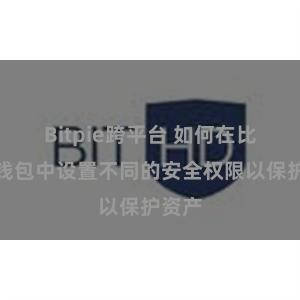 Bitpie跨平台 如何在比特派钱包中设置不同的安全权限以保护资产