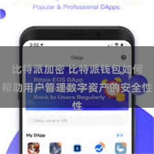 比特派加密 比特派钱包如何帮助用户管理数字资产的安全性
