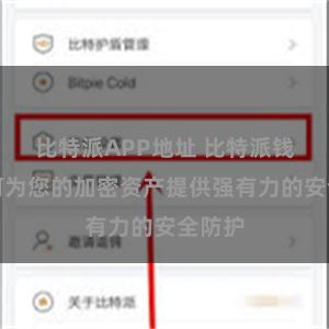 比特派APP地址 比特派钱包如何为您的加密资产提供强有力的安全防护