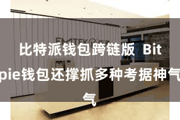 比特派钱包跨链版  Bitpie钱包还撑抓多种考据神气