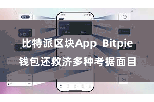 比特派区块App  Bitpie钱包还救济多种考据面目