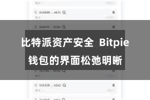 比特派资产安全  Bitpie钱包的界面松弛明晰