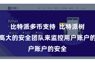 比特派多币支持  比特派树立了高大的安全团队来监控用户账户的安全