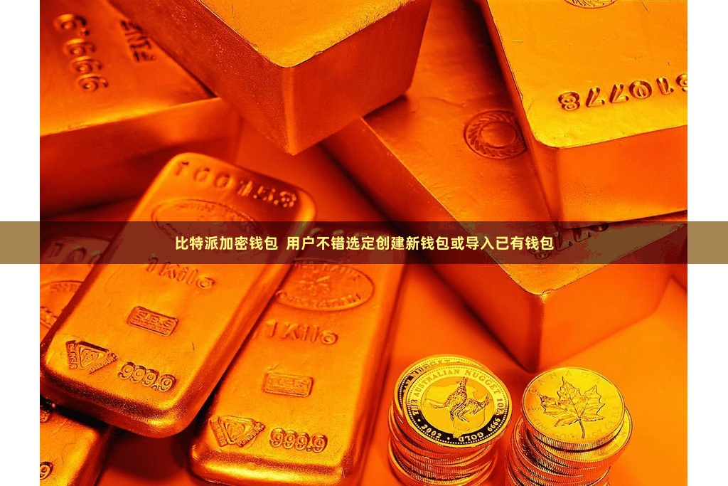 比特派加密钱包 用户不错选定创建新钱包或导入已有钱包