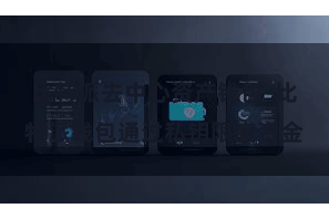 比特派去中心资产钱包  比特派钱包通过私钥限度资金