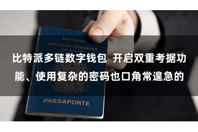 比特派多链数字钱包  开启双重考据功能、使用复杂的密码也口角常遑急的